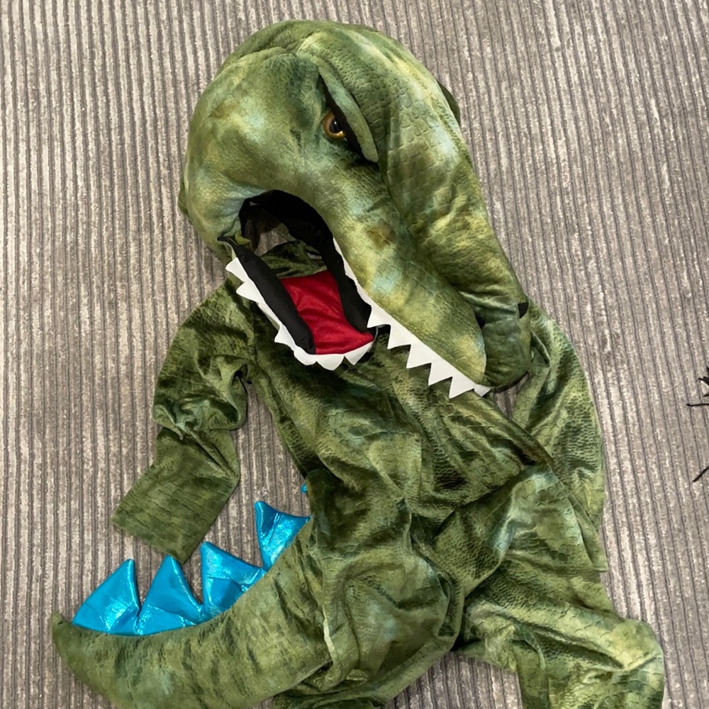 Kids Light Up T-Rex Halloween Costume